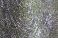 Thornton Le Street fibreglass roof work